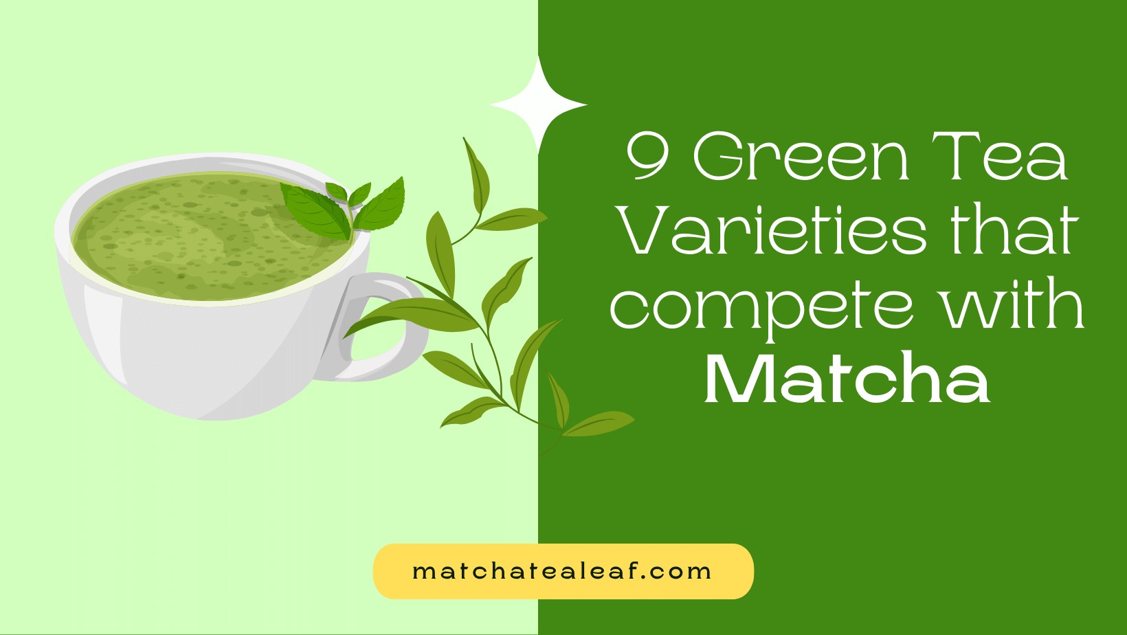 9 Green Tea Varieties That Compete with Matcha! - Matcha the Super Tea