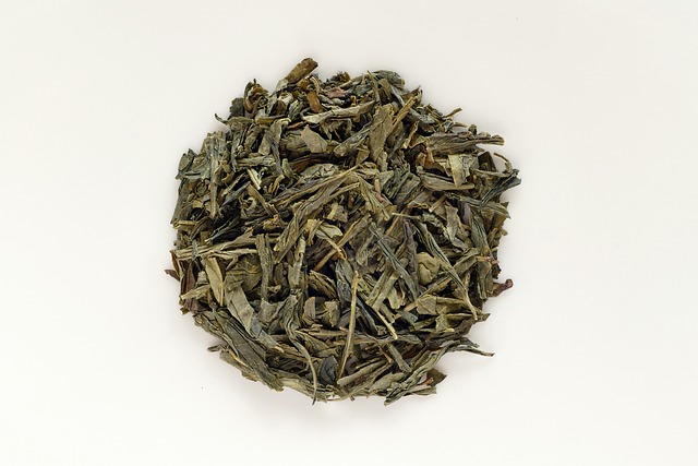 Sencha