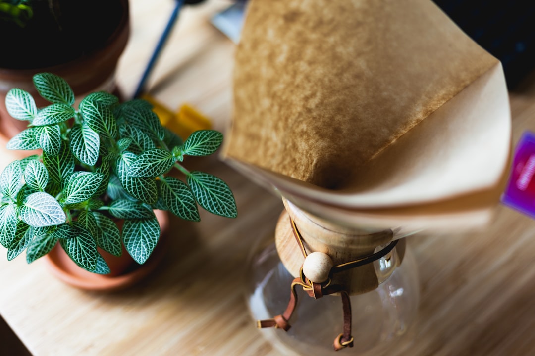 Gyokuro green tea brewing technique guide showing proper low-temperature water pouring method into traditional teapot